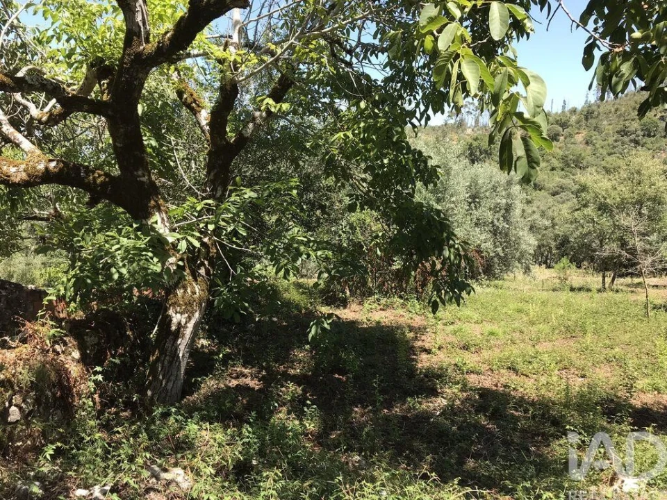 Moradia T6 para Venda em Chãos Foto 25