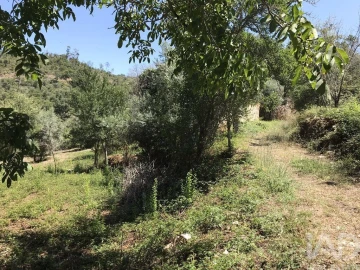 Moradia T6 para Venda em Chãos