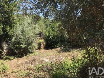 Moradia T6 para Venda em Chãos