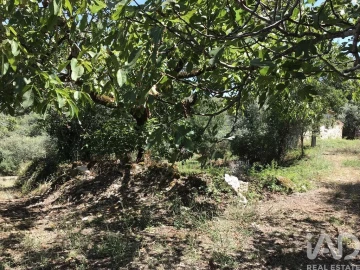 Moradia T6 para Venda em Chãos