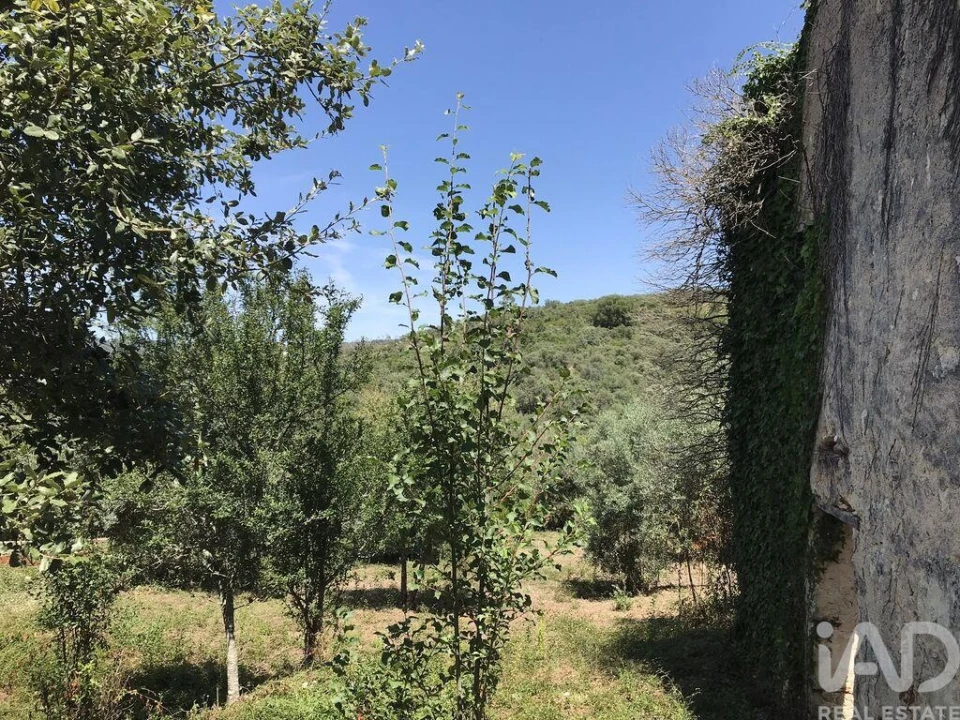 Moradia T6 para Venda em Chãos Foto 23
