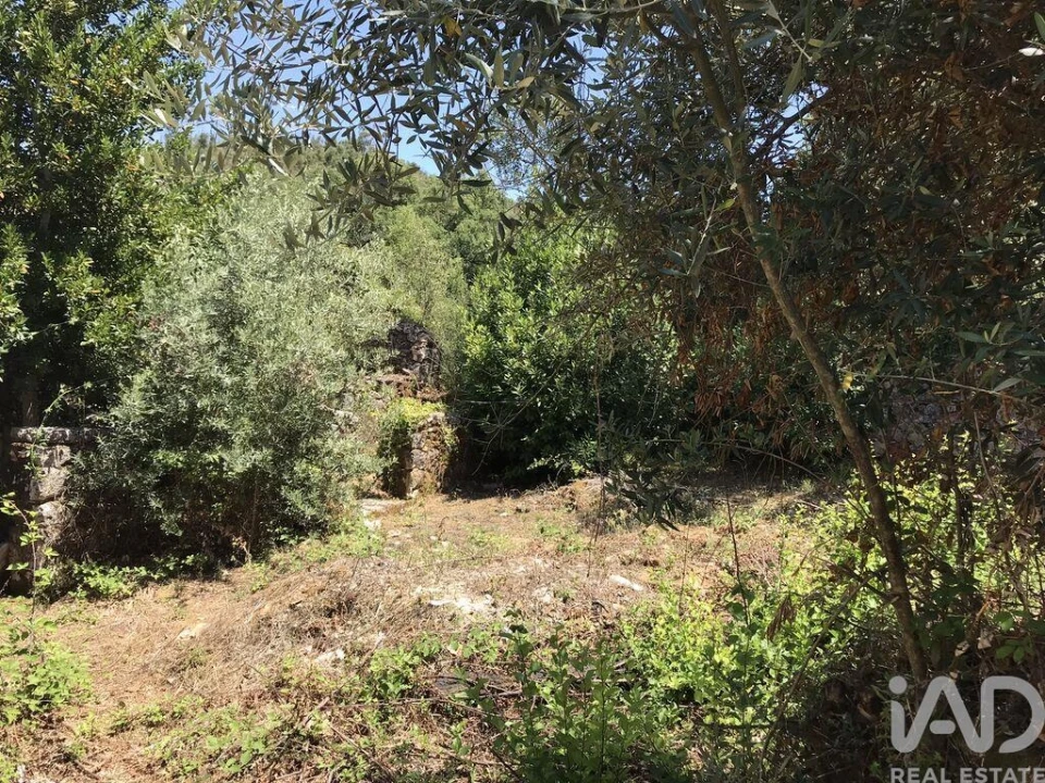 Moradia T6 para Venda em Chãos Foto 9