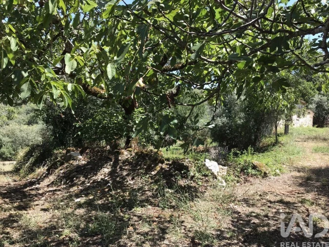Moradia T6 para Venda em Chãos Foto 26