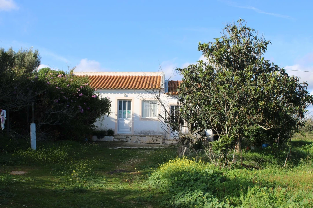 Quinta T3 para Venda em Odiaxere Foto 4