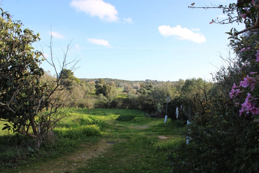 Quinta T3 para Venda em Odiaxere Foto 19