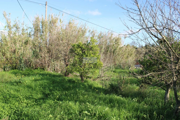 Quinta T3 para Venda em Odiaxere Foto 17