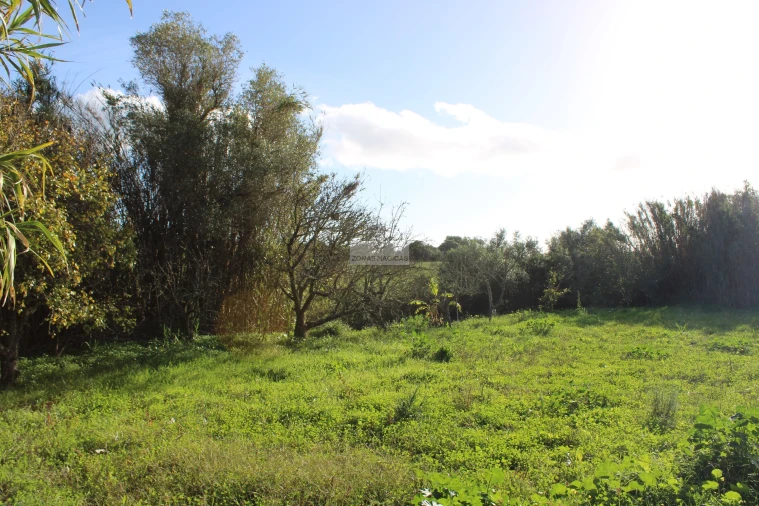 Quinta T3 para Venda em Odiaxere Foto 13