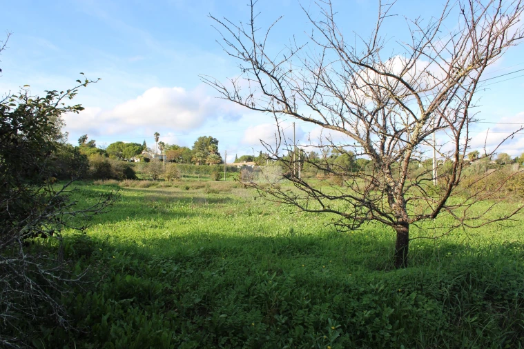 Quinta T3 para Venda em Odiaxere Foto 16