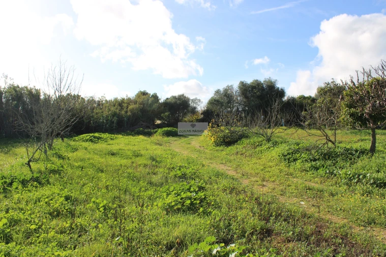 Quinta T3 para Venda em Odiaxere Foto 14