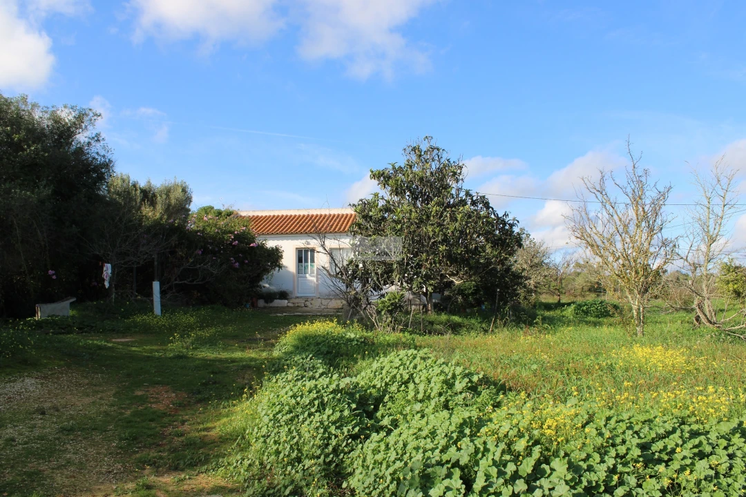 Quinta T3 para Venda em Odiaxere Foto 3