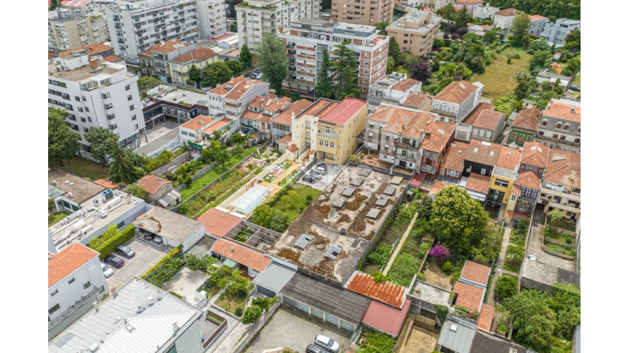 Prédio para Venda em Paranhos Foto 12