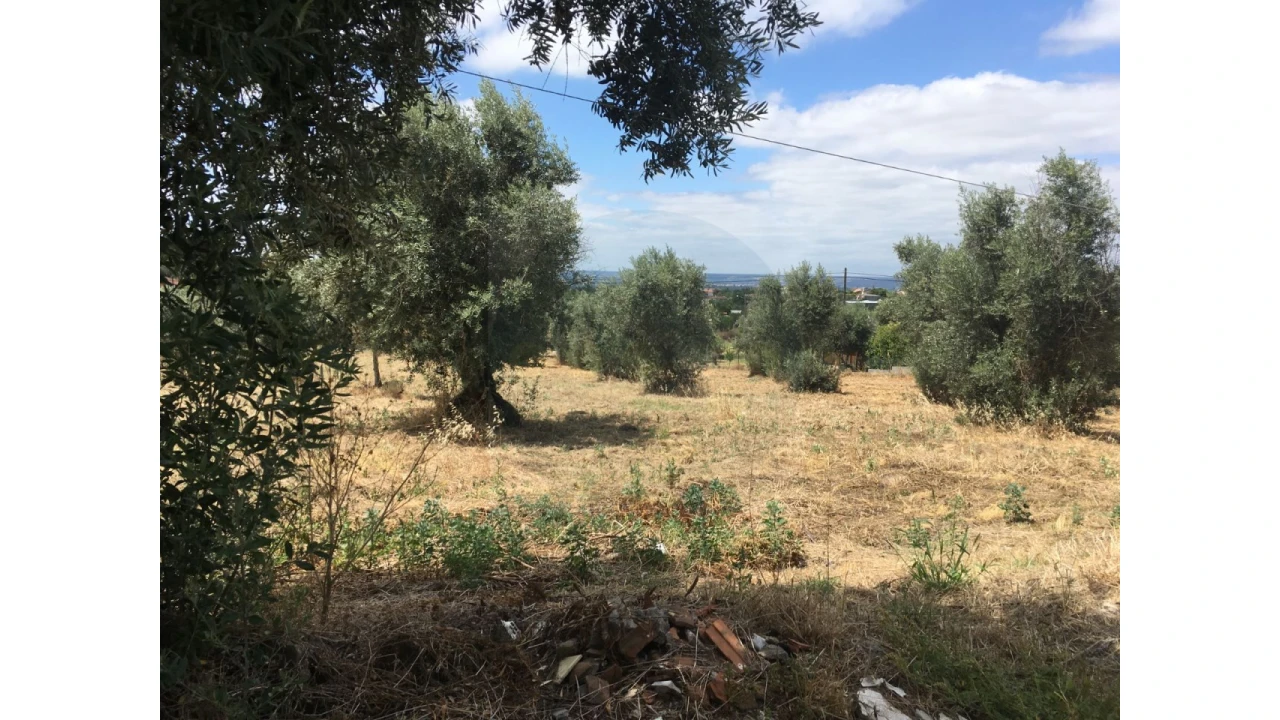 Terreno para Venda em Mouriscas Foto 6