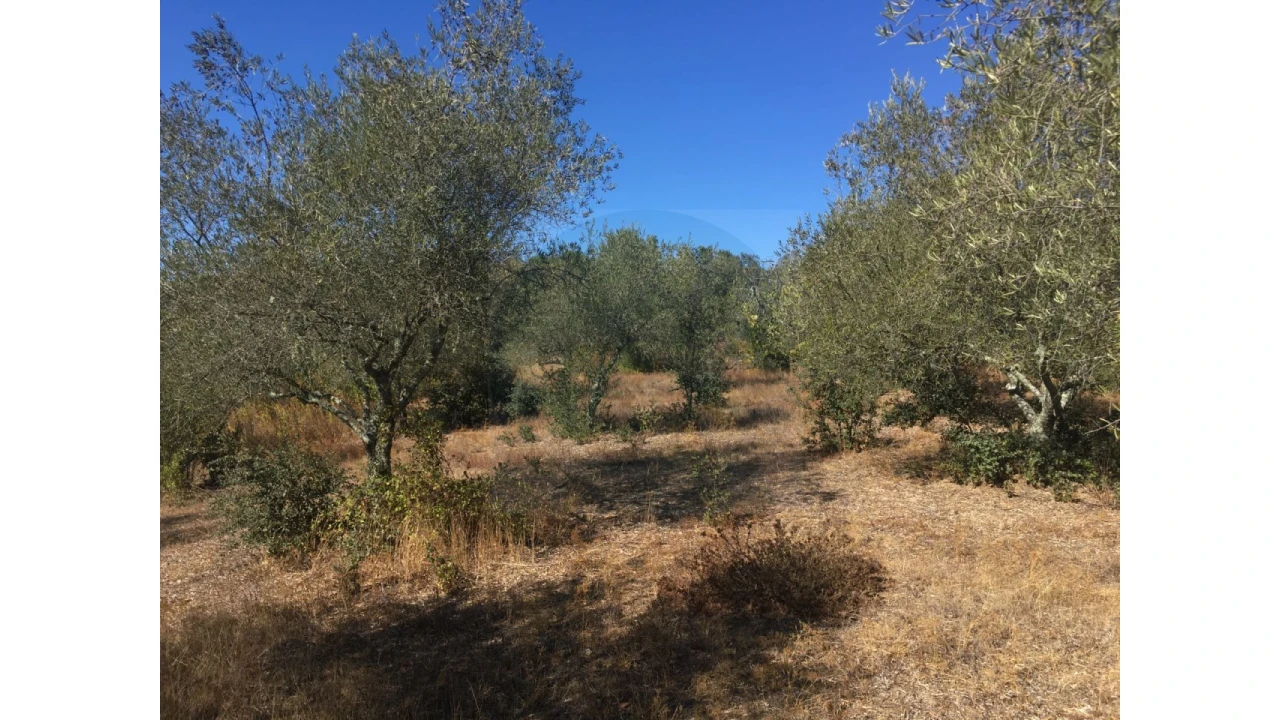 Terreno Agricola ou Rústico para Venda em Valhascos Foto 1
