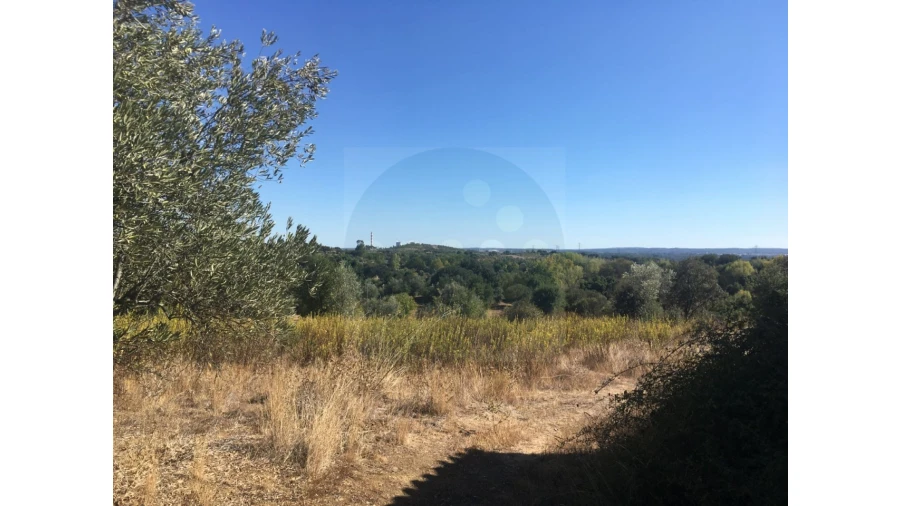 Terreno Agricola ou Rústico para Venda em Valhascos Foto 3