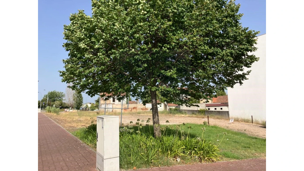 Terreno Comércio / Armazém para Venda em Abrantes (São Vicente e São João) e Alferrarede Foto 4