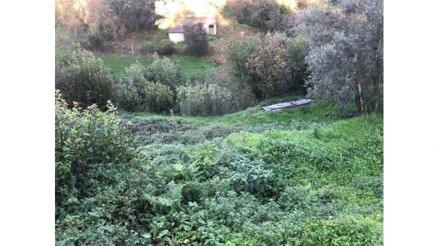 Terreno para Venda em Melres e Medas Foto 7