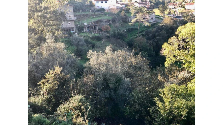 Terreno para Venda em Melres e Medas Foto 6