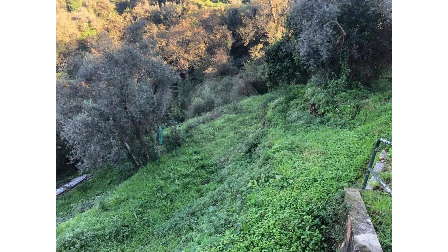 Terreno para Venda em Melres e Medas Foto 4