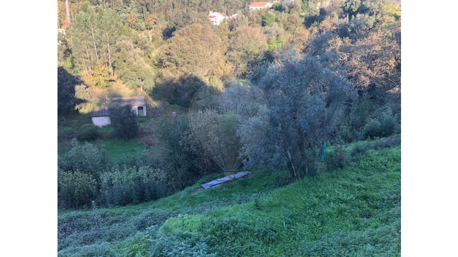 Terreno para Venda em Melres e Medas Foto 5