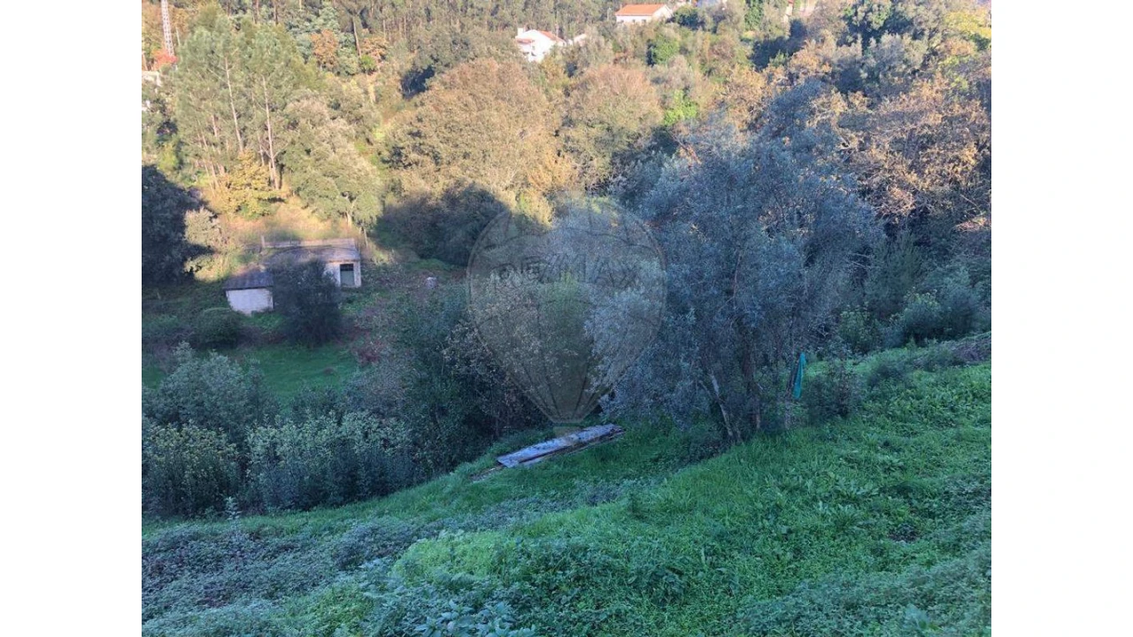 Terreno para Venda em Melres e Medas Foto 5