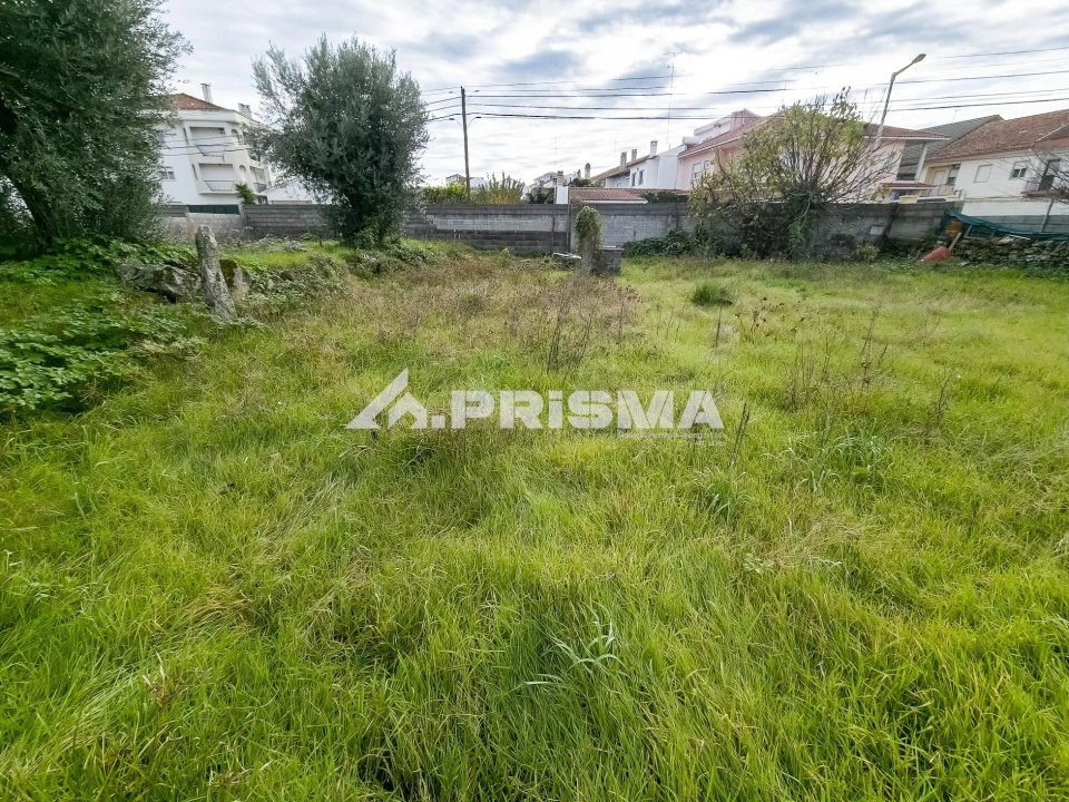 Terreno para Venda em Alcains Foto 2