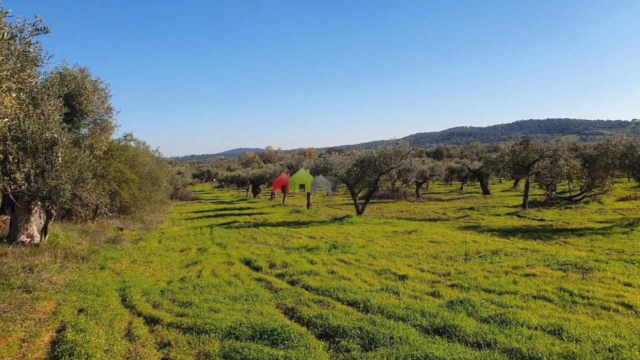 Terreno para Venda em Vila Alva Foto 3