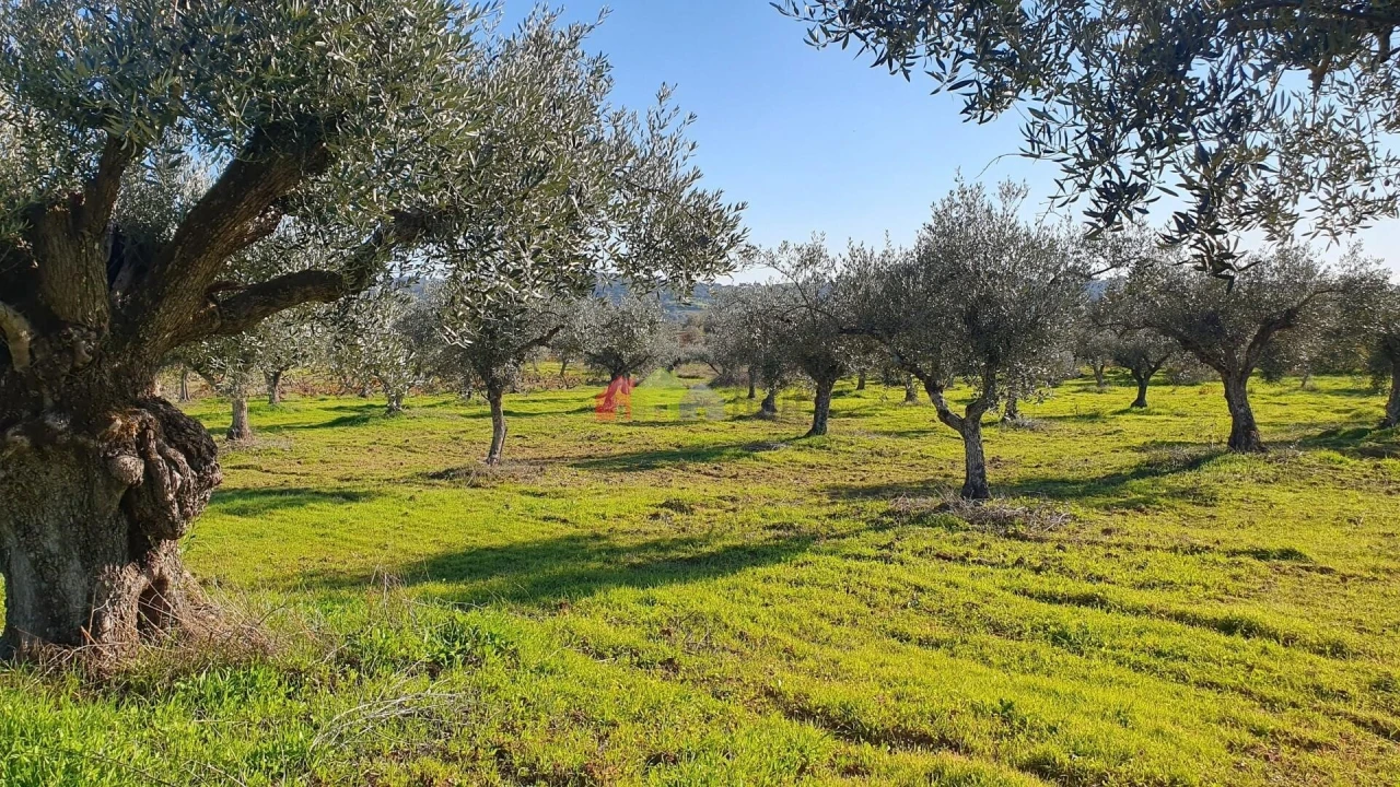 Terreno para Venda em Vila Alva Foto 27