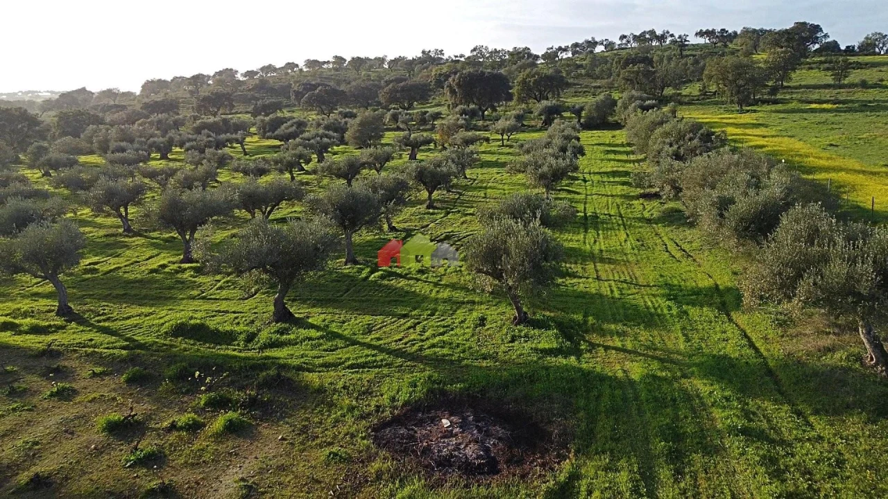 Terreno para Venda em Vila Alva Foto 19