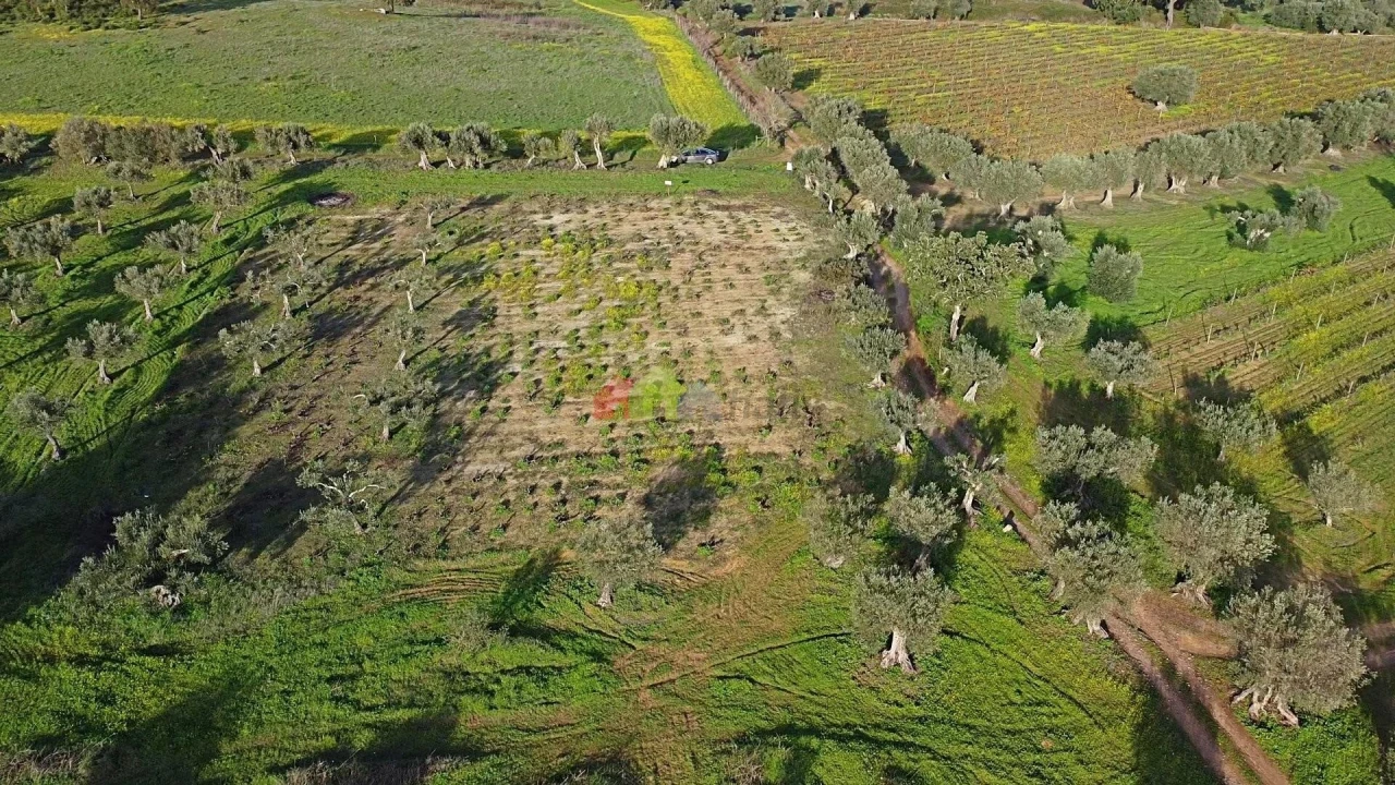 Terreno para Venda em Vila Alva Foto 15