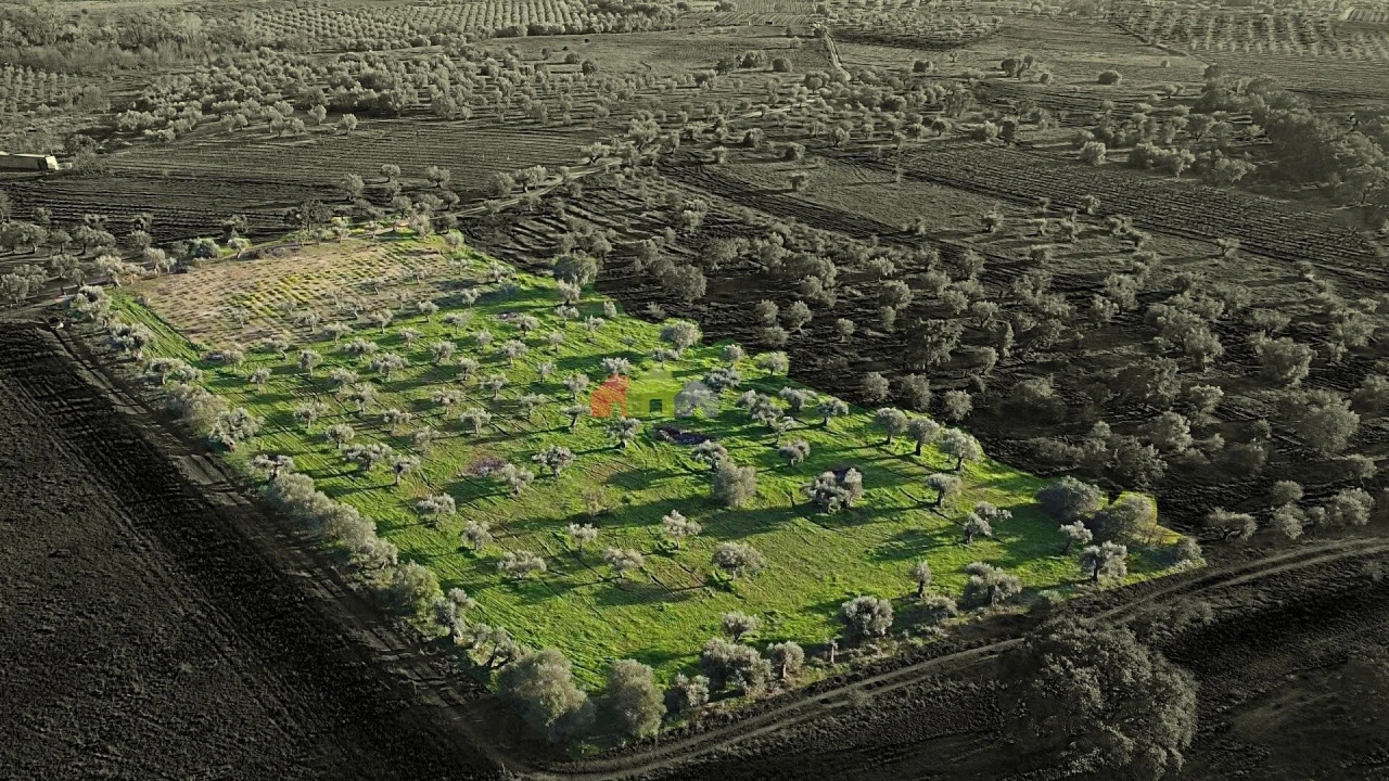 Terreno para Venda em Vila Alva Foto 20