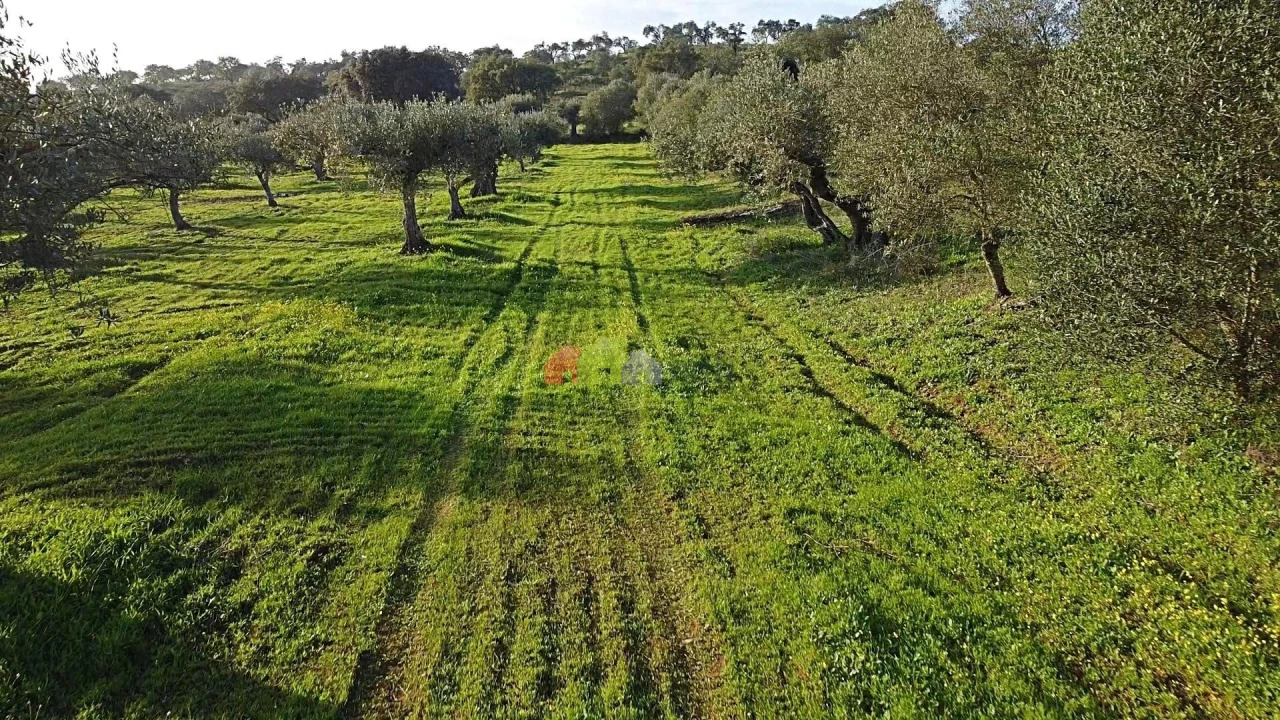 Terreno para Venda em Vila Alva Foto 18