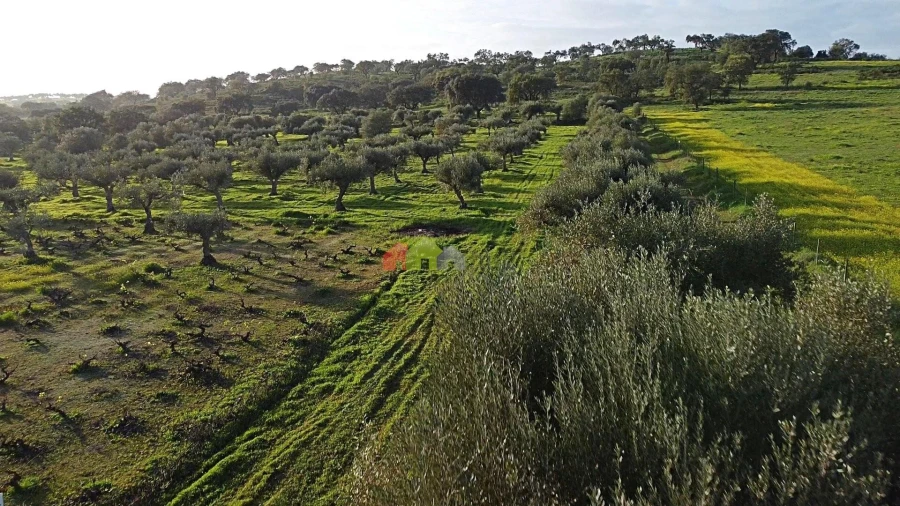 Terreno para Venda em Vila Alva Foto 24