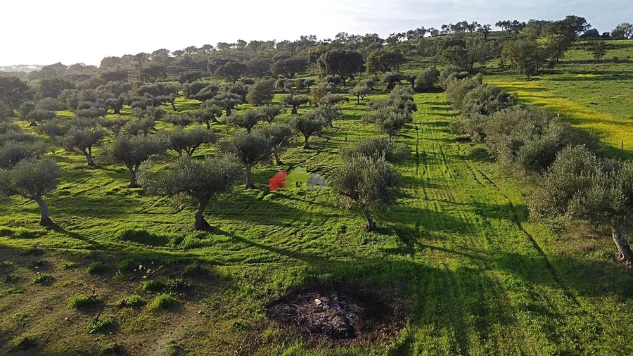 Terreno para Venda em Vila Alva Foto 19