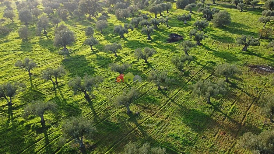Terreno para Venda em Vila Alva Foto 23