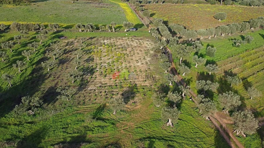 Terreno para Venda em Vila Alva Foto 15