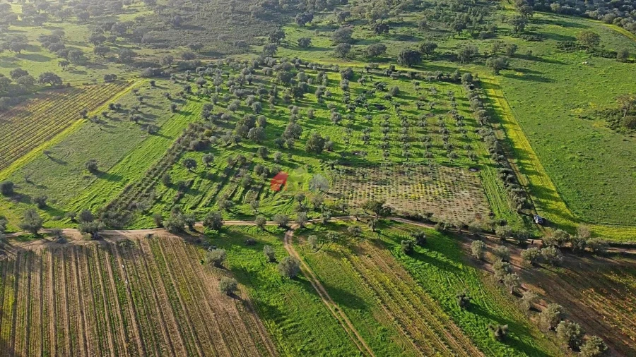 Terreno para Venda em Vila Alva Foto 22
