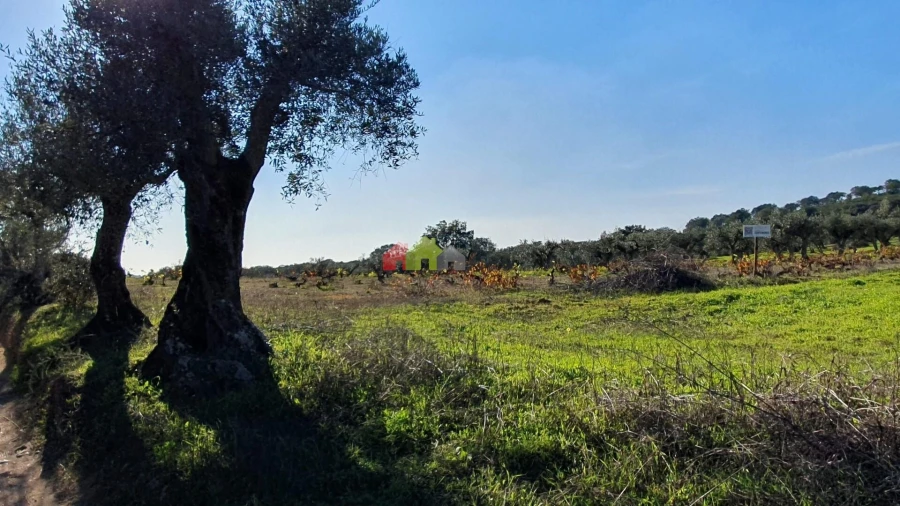 Terreno para Venda em Vila Alva Foto 29
