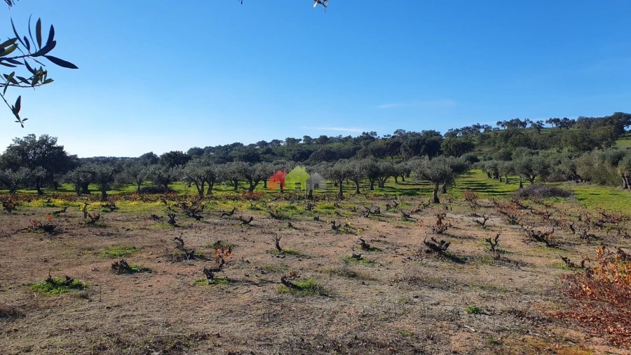 Terreno para Venda em Vila Alva Foto 14