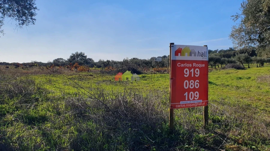 Terreno para Venda em Vila Alva Foto 28