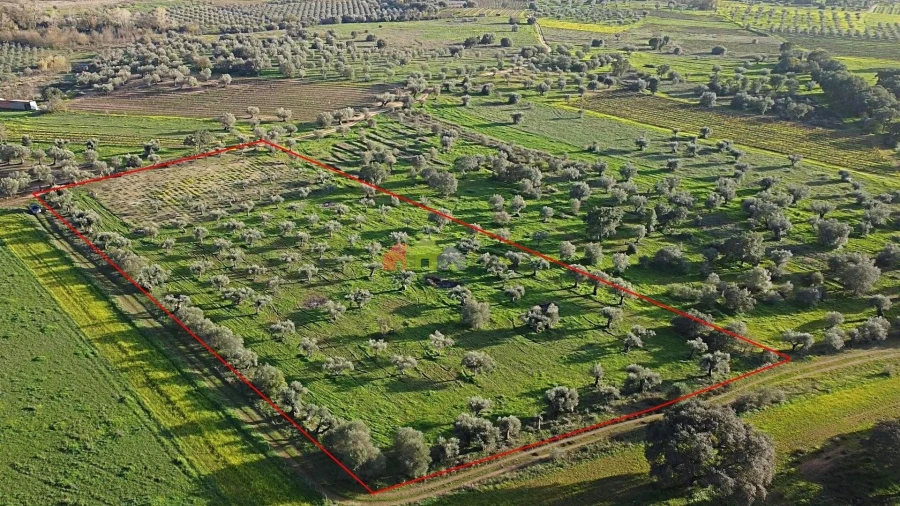 Terreno para Venda em Vila Alva Foto 21