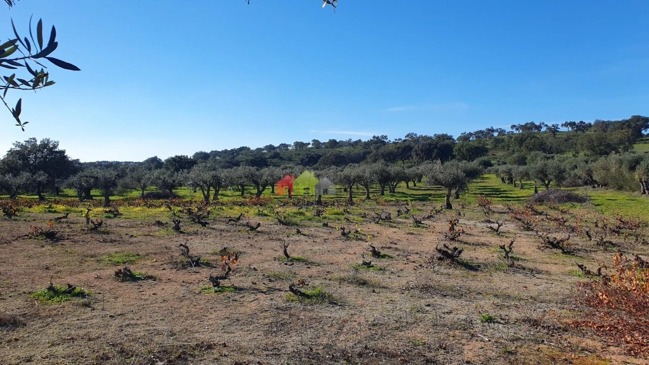 Terreno para Venda em Vila Alva Foto 14