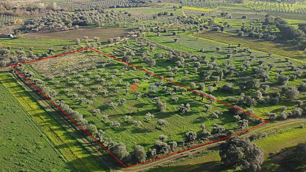 Terreno para Venda em Vila Alva Foto 21