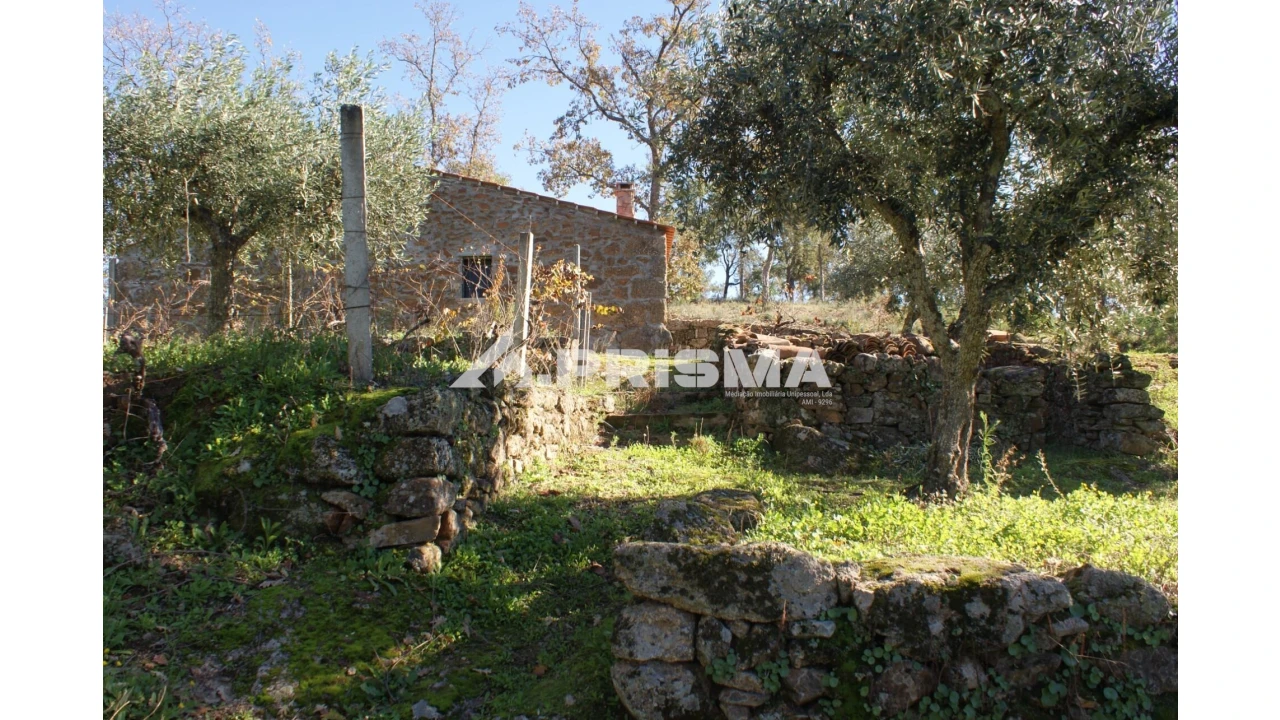 Quinta para Venda em Pero Viseu Foto 20