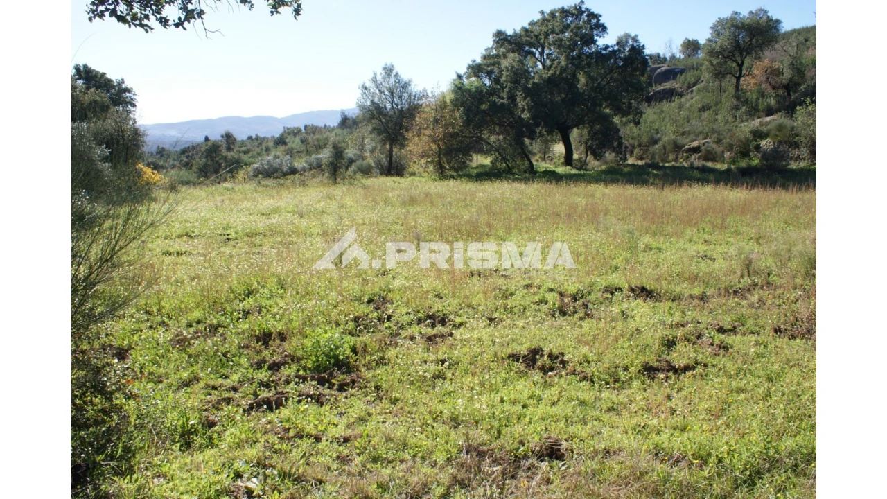 Quinta para Venda em Pero Viseu Foto 19