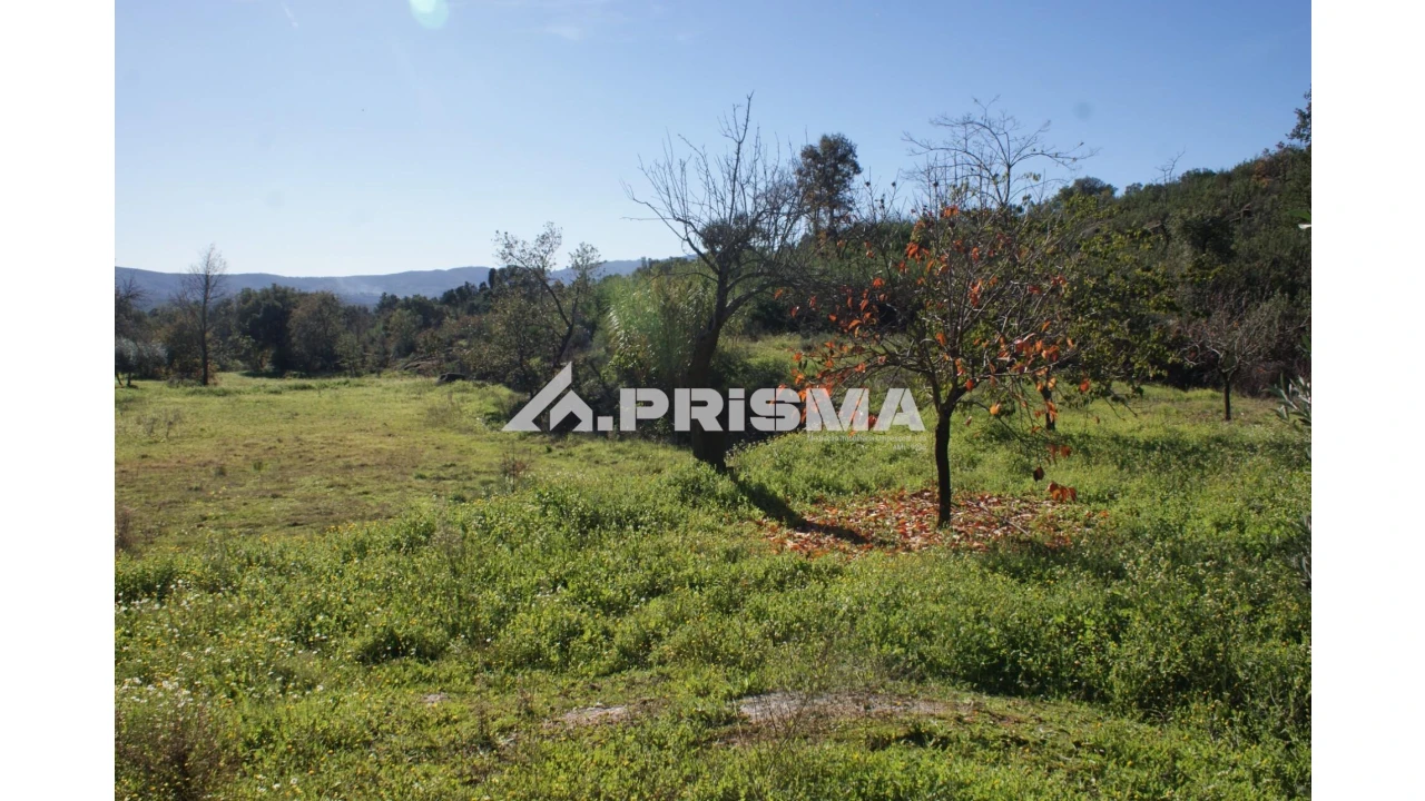 Quinta para Venda em Pero Viseu Foto 14