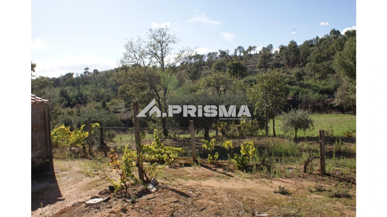 Quinta para Venda em Pero Viseu Foto 2
