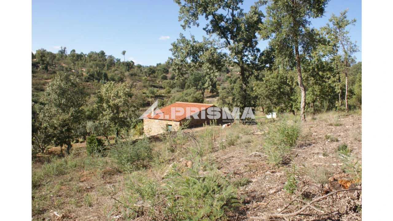 Quinta para Venda em Pero Viseu Foto 10