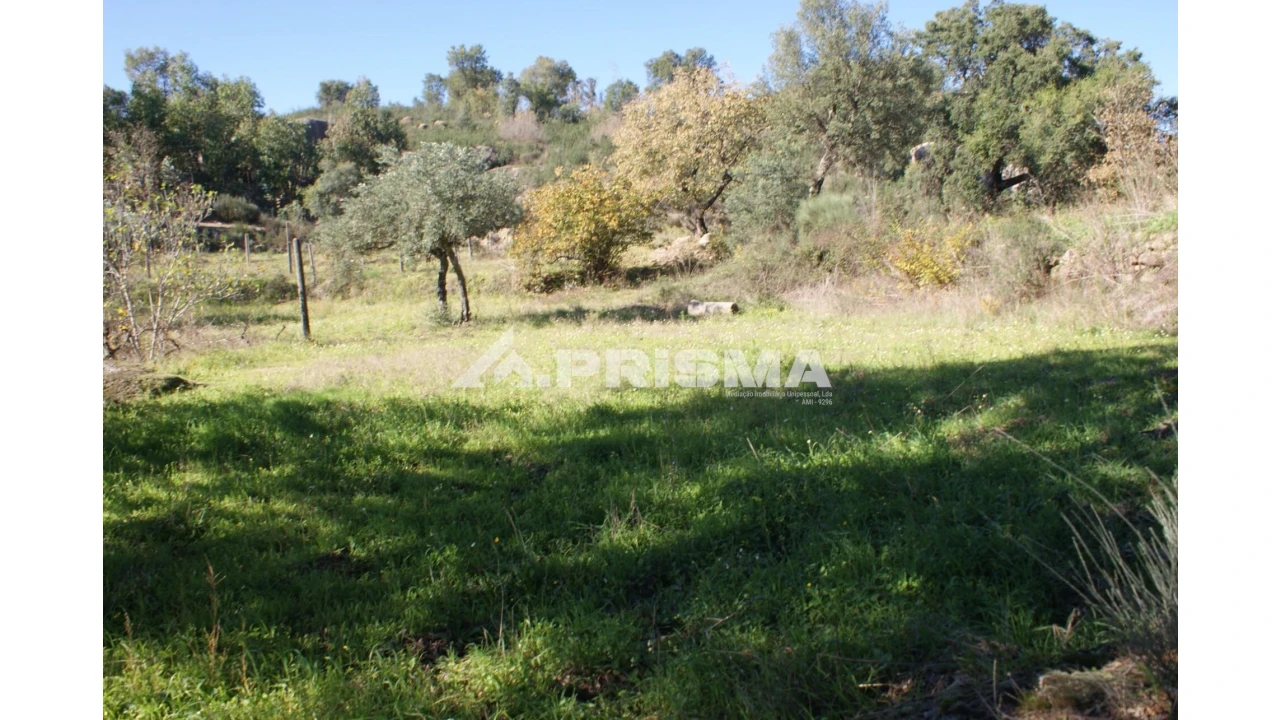 Quinta para Venda em Pero Viseu Foto 15