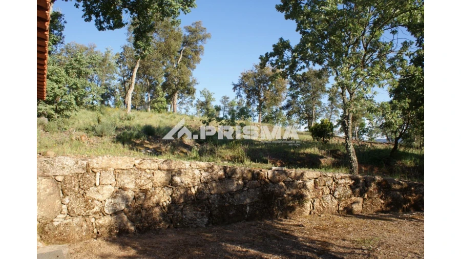 Quinta para Venda em Pero Viseu Foto 32