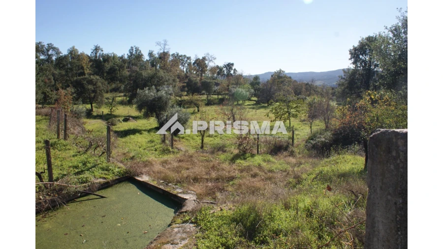 Quinta para Venda em Pero Viseu Foto 17